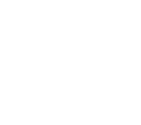 Apex Executive Suites